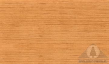 pinia/modrzew - 5436